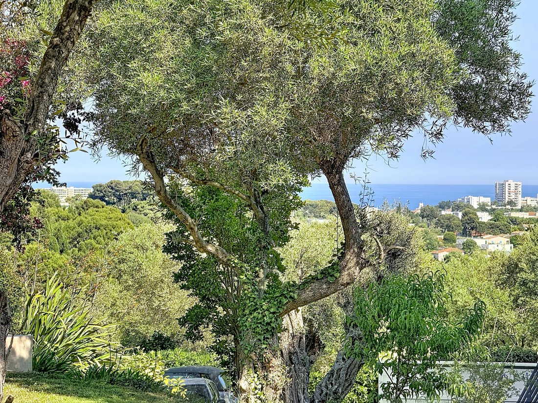 Villa in L'Estagnol, Antibes, France 5 - 17998376