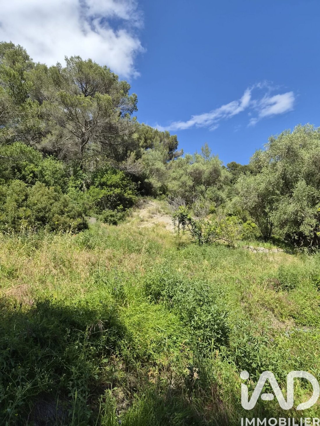 Land in Gorbio, Provence-Alpes-Côte d'Azur, France 1 - 17997475