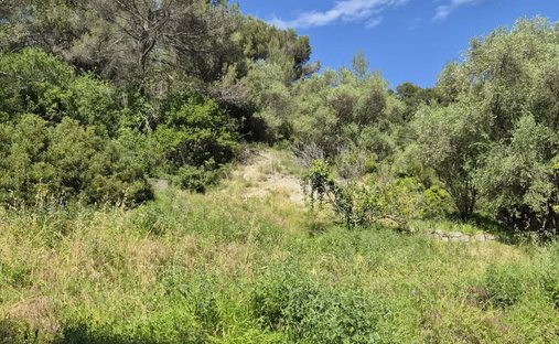 Land in Gorbio, Provence-Alpes-Côte d'Azur, Frankreich 1