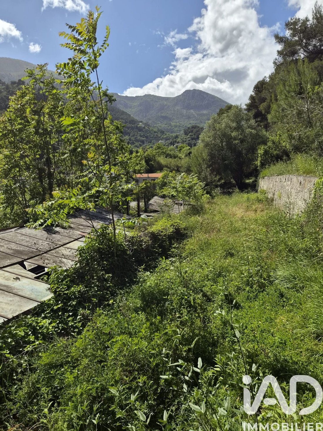 Land in Gorbio, Provence-Alpes-Côte d'Azur, France 3 - 17997475