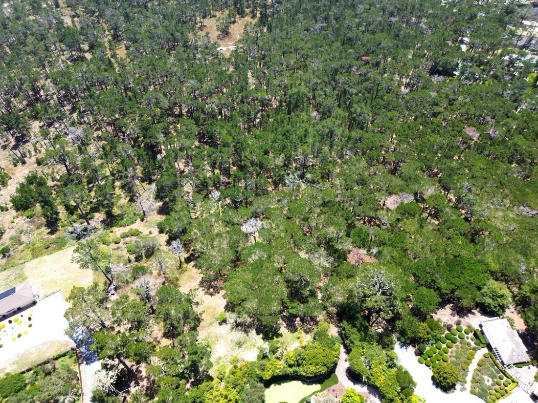 Land in Del Monte Forest, California, United States 5 - 17998333
