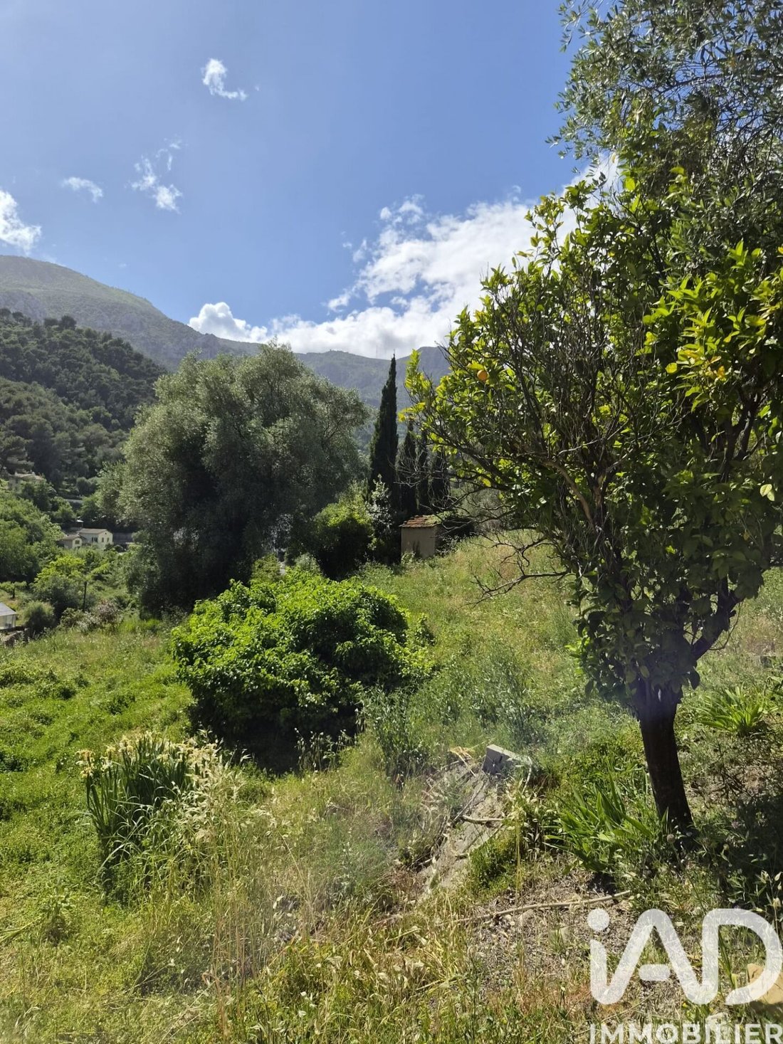 Land in Gorbio, Provence-Alpes-Côte d'Azur, France 5 - 17997475