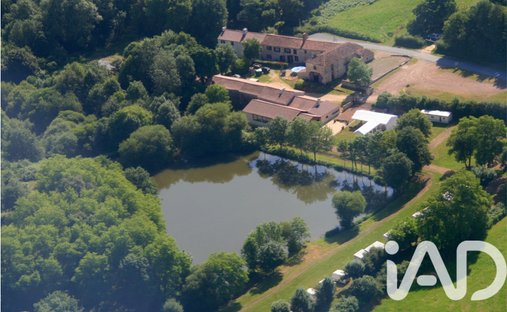 House in Chaille-sous-les-Ormeaux, Rives-de-l'Yon, France 1