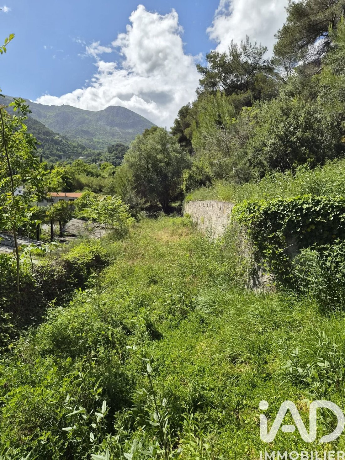 Land in Gorbio, Provence-Alpes-Côte d'Azur, France 2 - 17997475