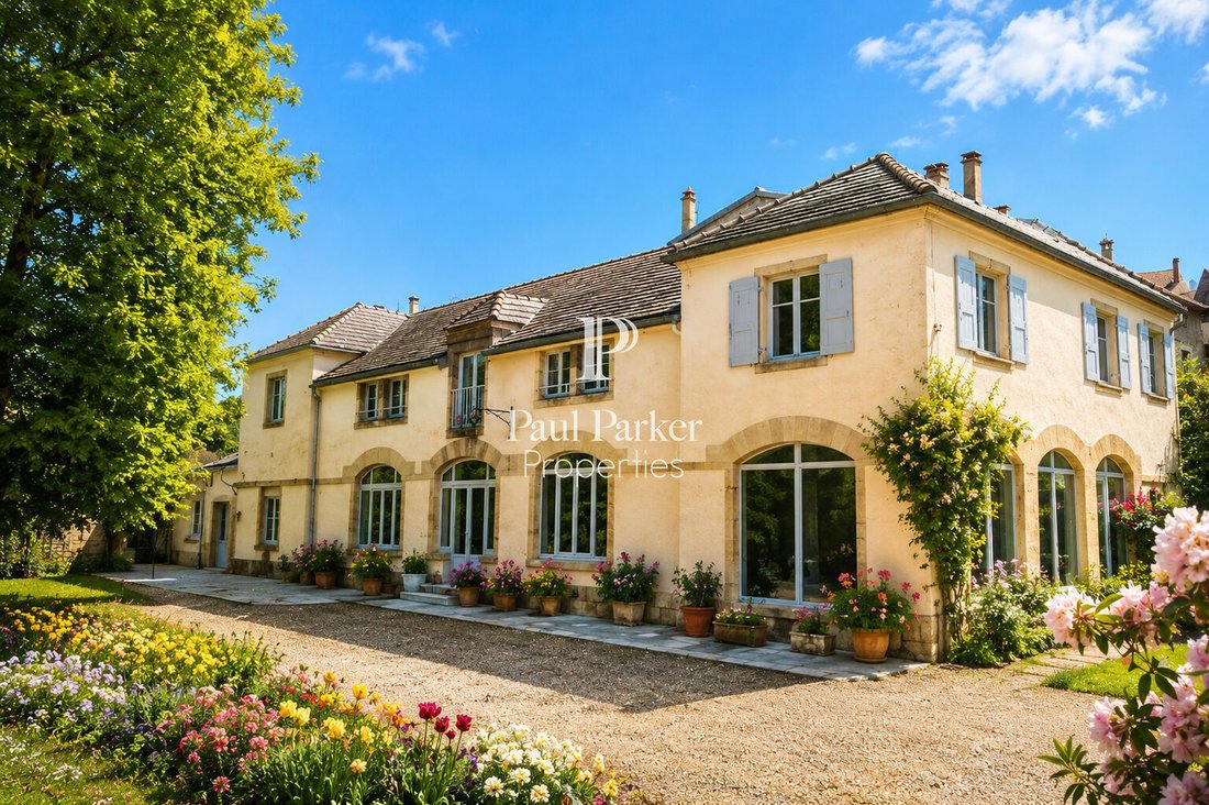 Chateau in Jujurieux, Auvergne-Rhône-Alpes, France 4 - 17902406