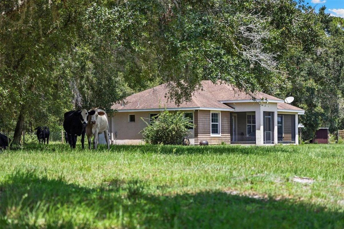 House in Spring Hill, Florida, United States 2 - 16367238