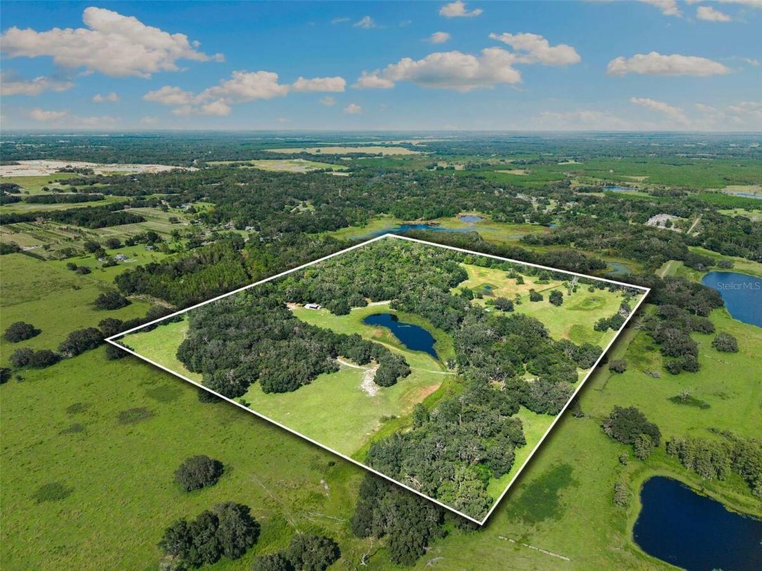 House in Spring Hill, Florida, United States 1 - 16367238