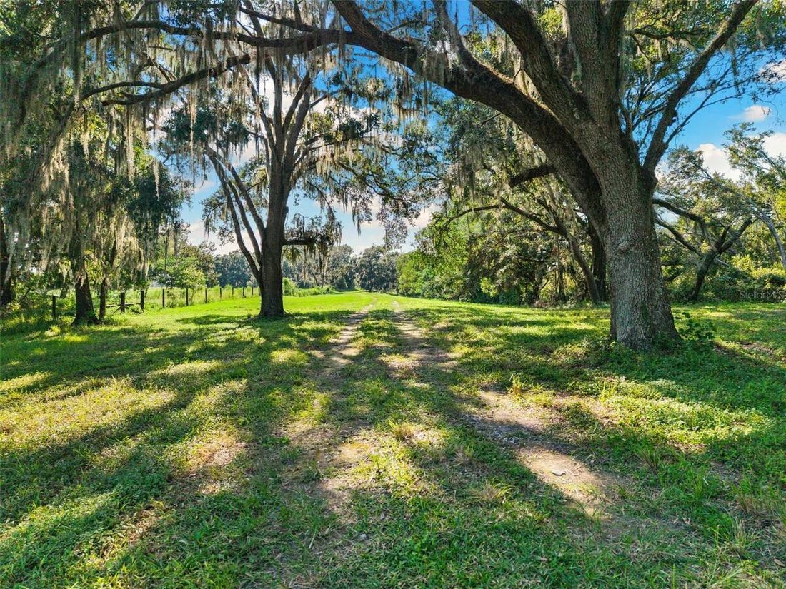 House in Spring Hill, Florida, United States 3 - 16367238