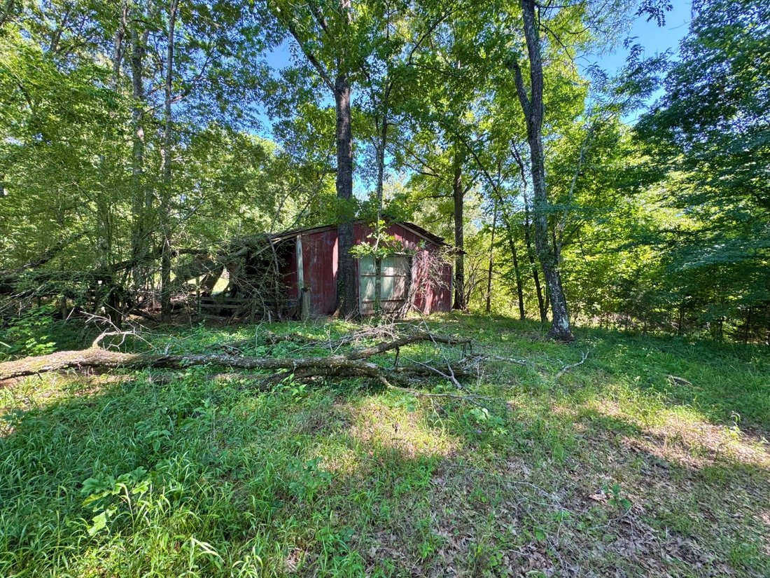 House in Fayette, Mississippi, United States 4 - 17999281