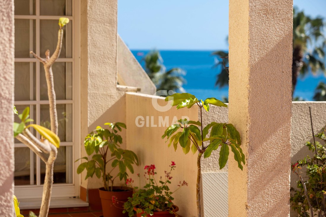 Penthouse à Espagne 5 - 17999335