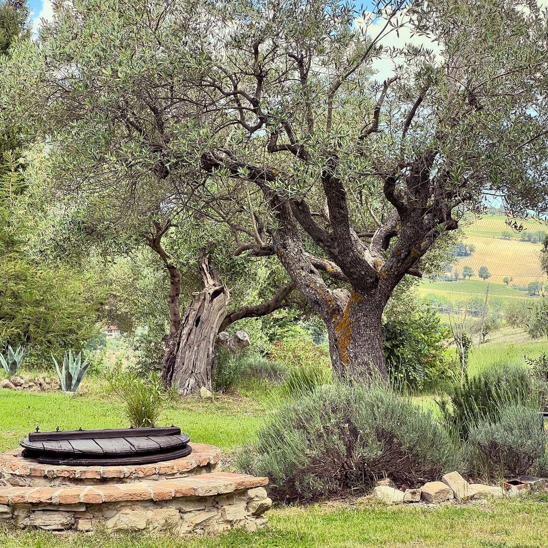 Villa in Cingoli, Marche, Italy 4 - 17999369