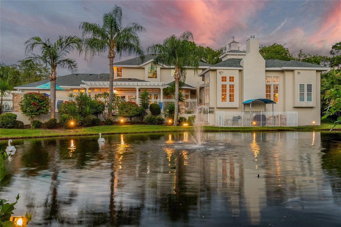 House in Trinity, Florida, United States 5 - 17999493
