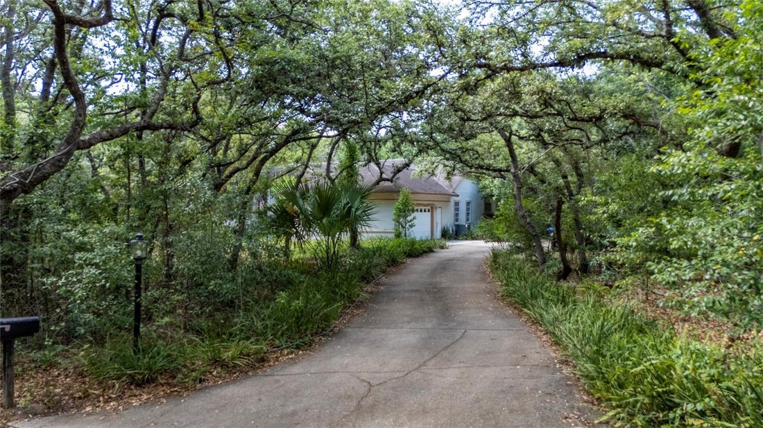 House in Orlando, Florida, United States 1 - 17999508