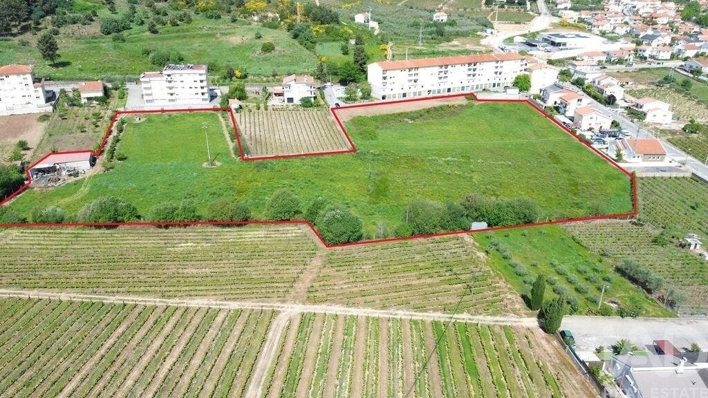 Land in Alijó, Vila Real District, Portugal 2 - 17999888