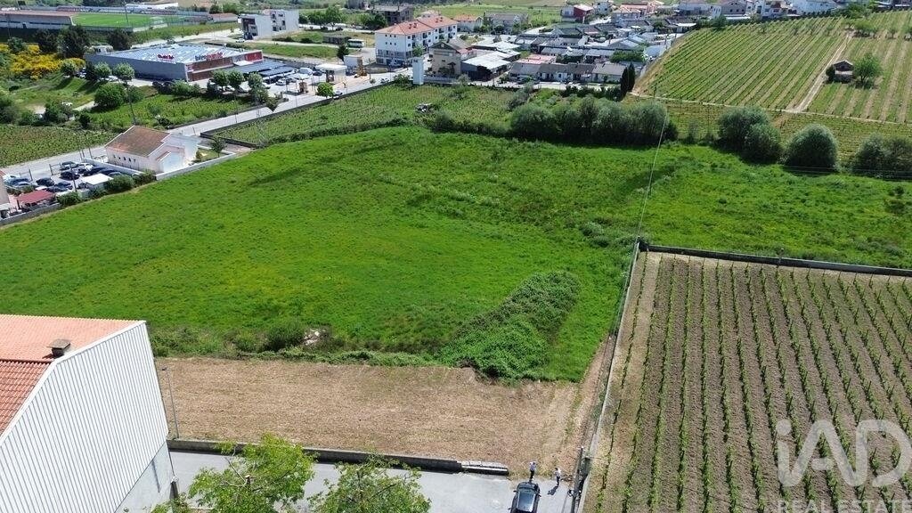 Land in Alijó, Vila Real District, Portugal 5 - 17999888