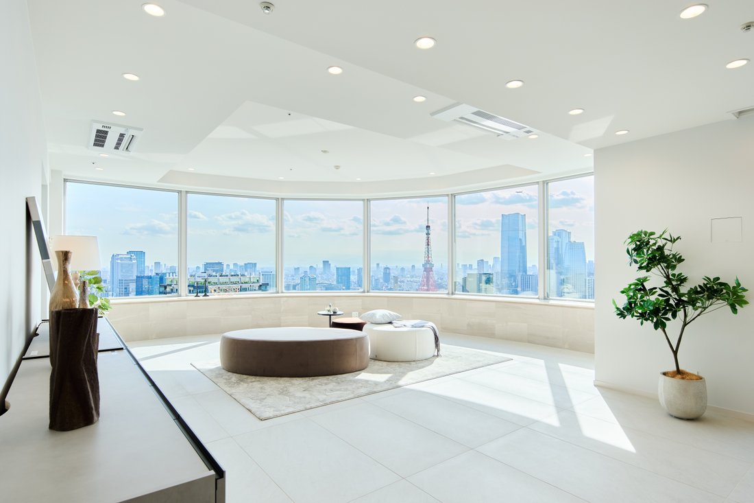 Penthouse à Minato-ku, Tokyo, Japon 1 - 17999821