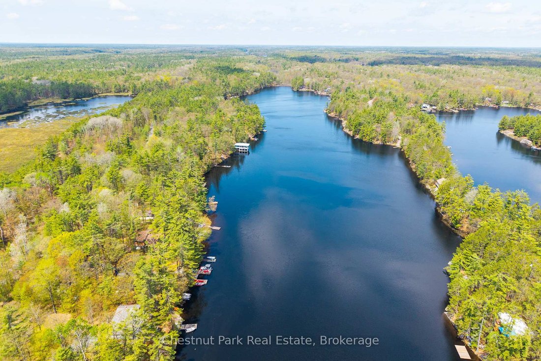 House in Gravenhurst, Ontario, Canada 2 - 17999908