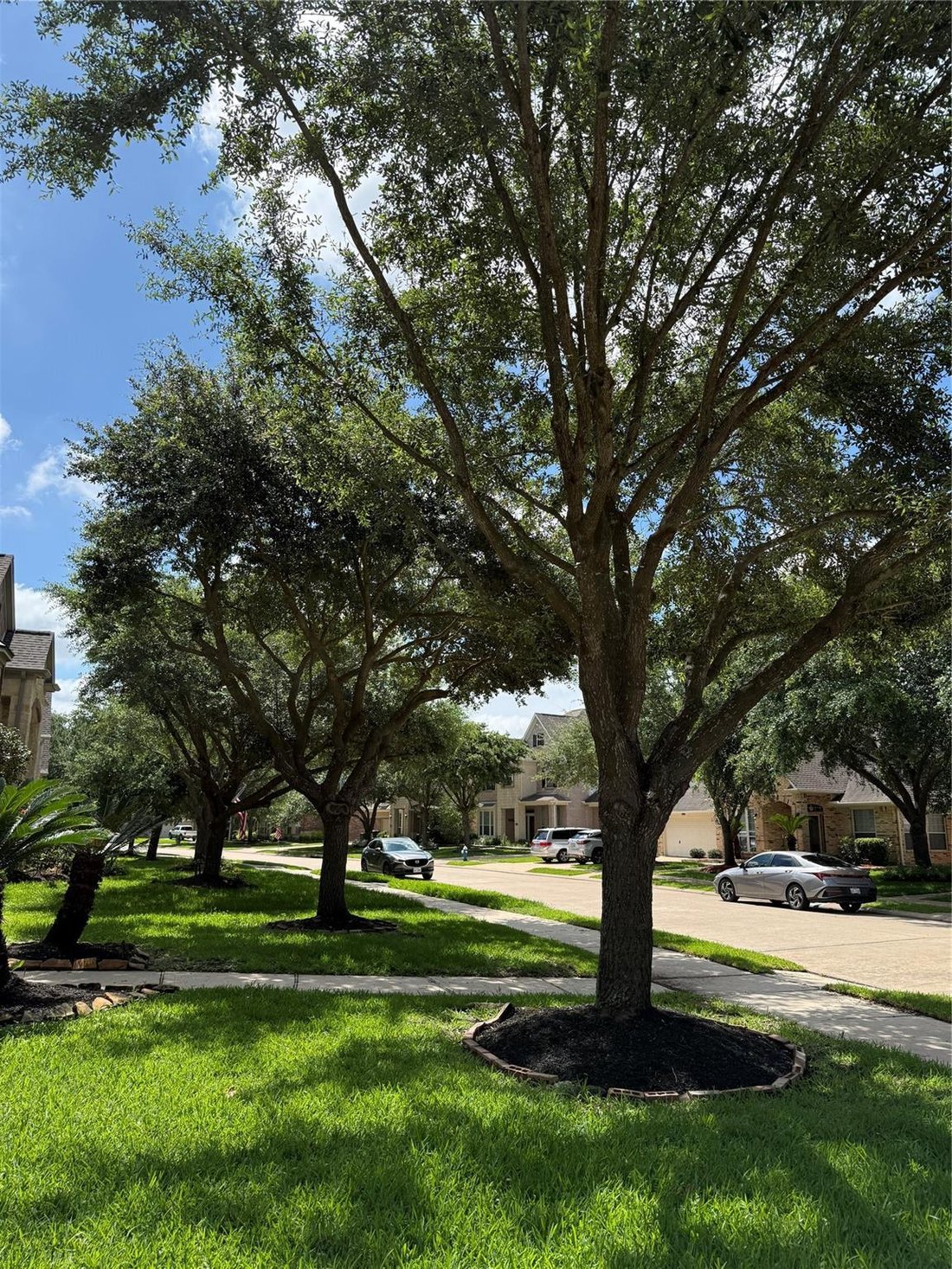 House in Katy, Texas, United States 2 - 17999938