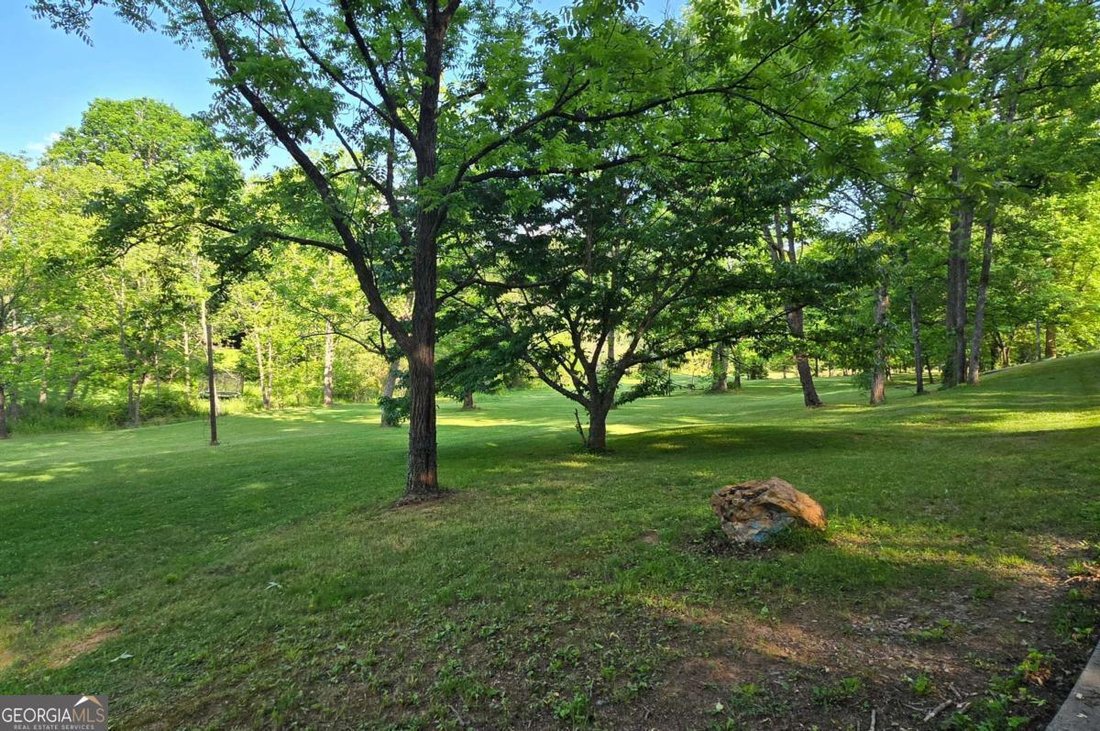 Farm Ranch in Mineral Bluff, Georgia, United States 5 - 18000006