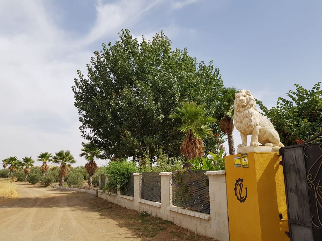 Finca in Santa Cruz de Mudela, Castile-La Mancha, Spain 4 - 18000199