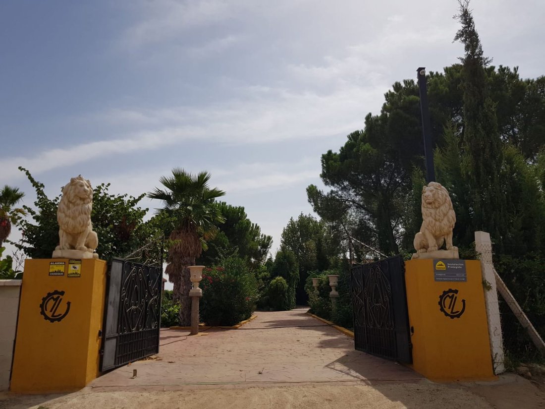 Finca in Santa Cruz de Mudela, Castile-La Mancha, Spain 2 - 18000199