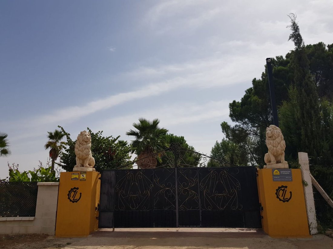 Finca in Santa Cruz de Mudela, Castile-La Mancha, Spain 1 - 18000199