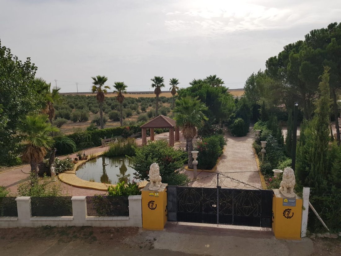 Finca in Santa Cruz de Mudela, Castile-La Mancha, Spain 3 - 18000199