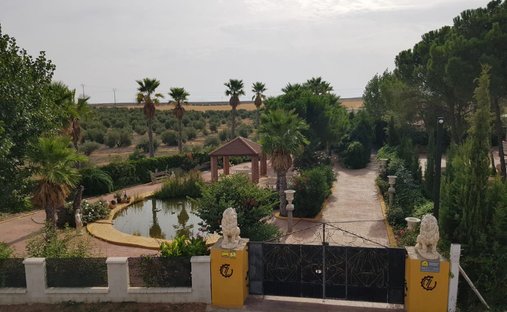Finca a Santa Cruz de Mudela, Castiglia-La Mancia, Spagna 1