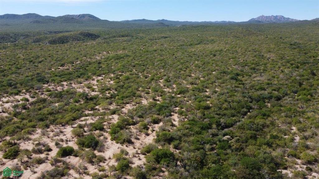 Terrain à Cabo San Lucas, Basse-Californie du Sud, Mexique 5 - 17804872