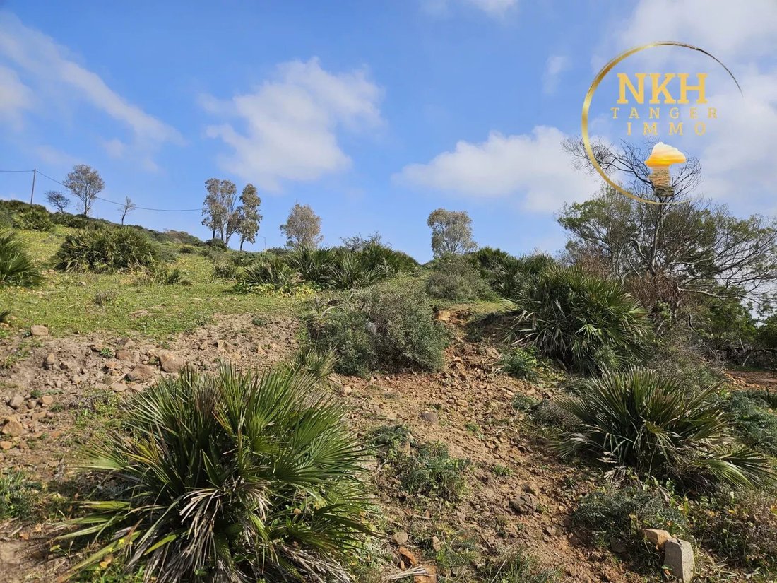 Land in Tangier, Tangier-Tétouan-Al Hoceima, Morocco 5 - 17715825