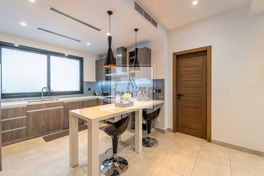 Townhouse in Burj Khalifa Lake, Downtown Dubai, Dubai 5 - 18000508