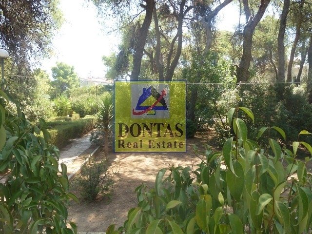 Land in Ekali, Attica, Greece 4 - 18000551