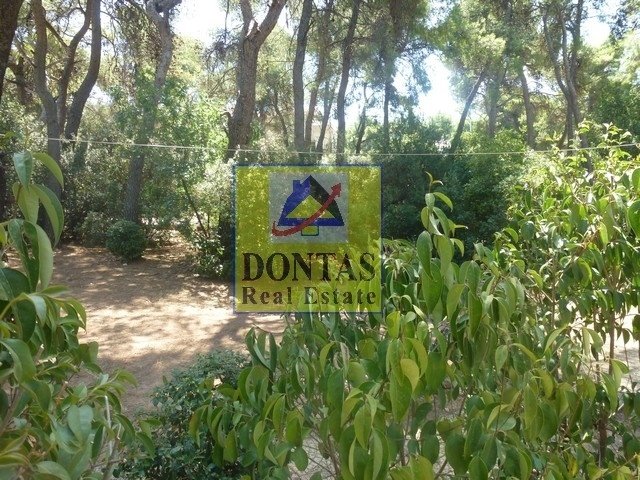 Land in Ekali, Attica, Greece 2 - 18000551