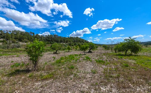 Land in Montuïri, Balearische Inseln, Spanien 1