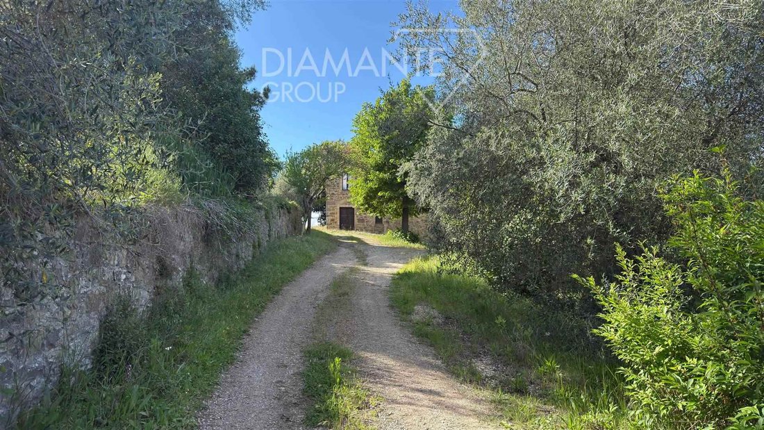 Farm Ranch in Montalcino, Tuscany, Italy 3 - 18002230