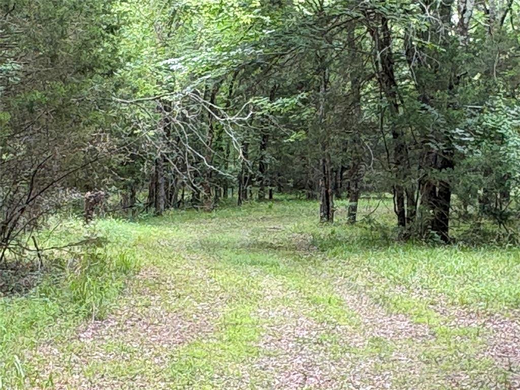 House in Lone Oak, Texas, United States 4 - 18001882