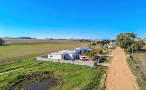 Estate in Moorreesburg, Western Cape, South Africa 1