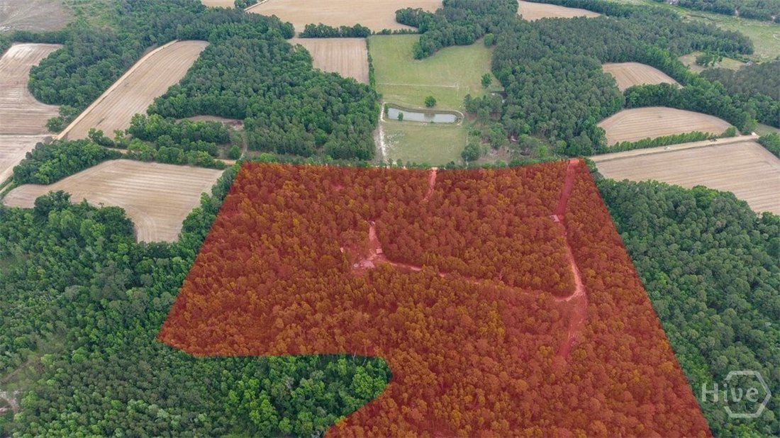 Portal, Georgia, United States 3 - 18002037