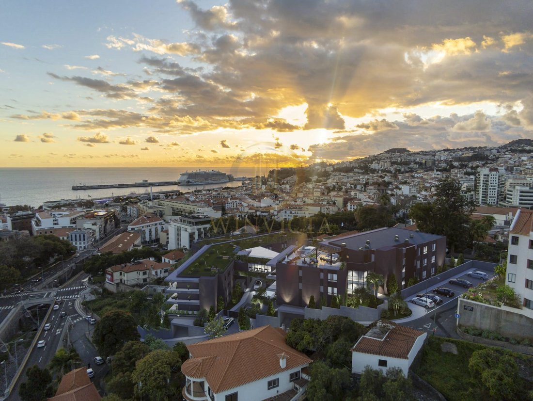 Apartment in Santa Luzia, Madeira, Portugal 3 - 18002471