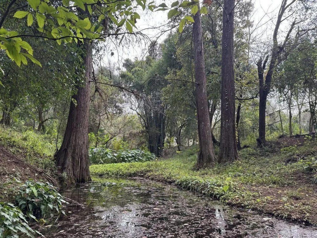 Land in Lazarillos de Arriba, Nuevo Leon, Mexico 2 - 18000789