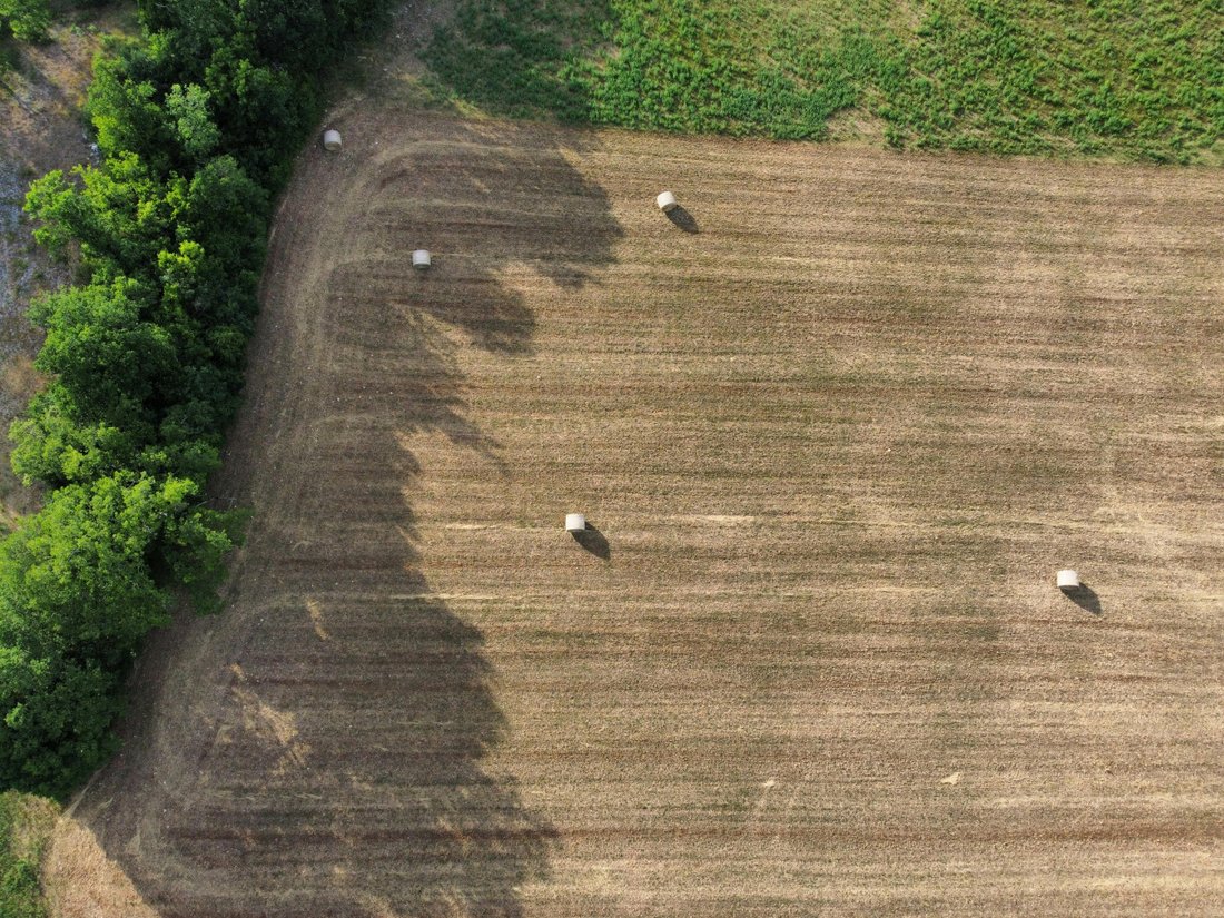 Land in Canaro, Veneto, Italy 2 - 18002541