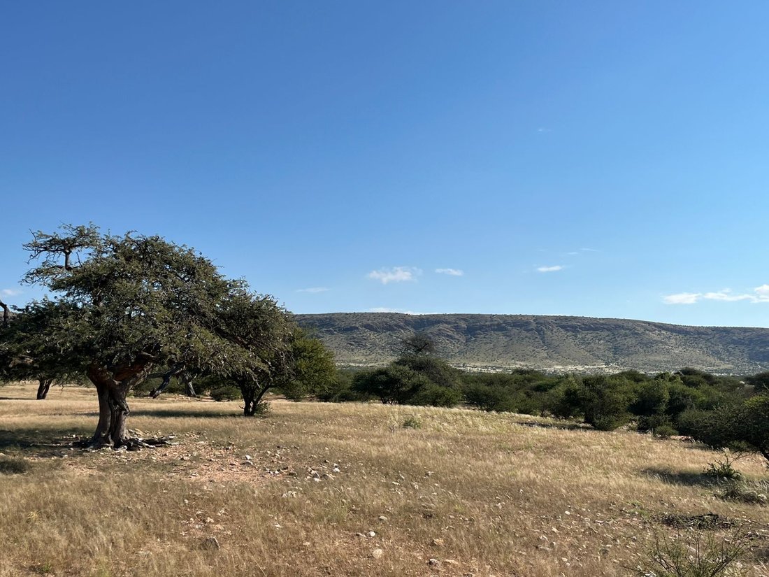 Land in Groblershoop, Northern Cape, South Africa 1 - 16771962