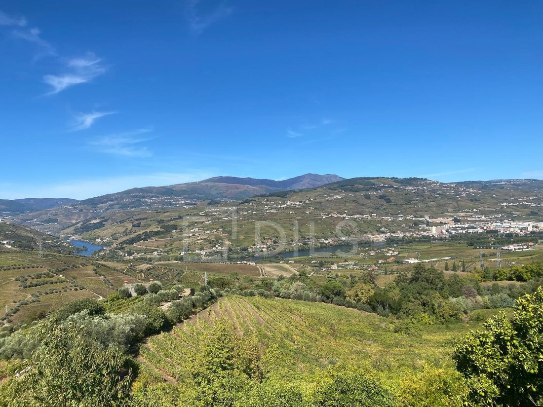 Finca in Cambres, Viseu District, Portugal 2 - 18002418