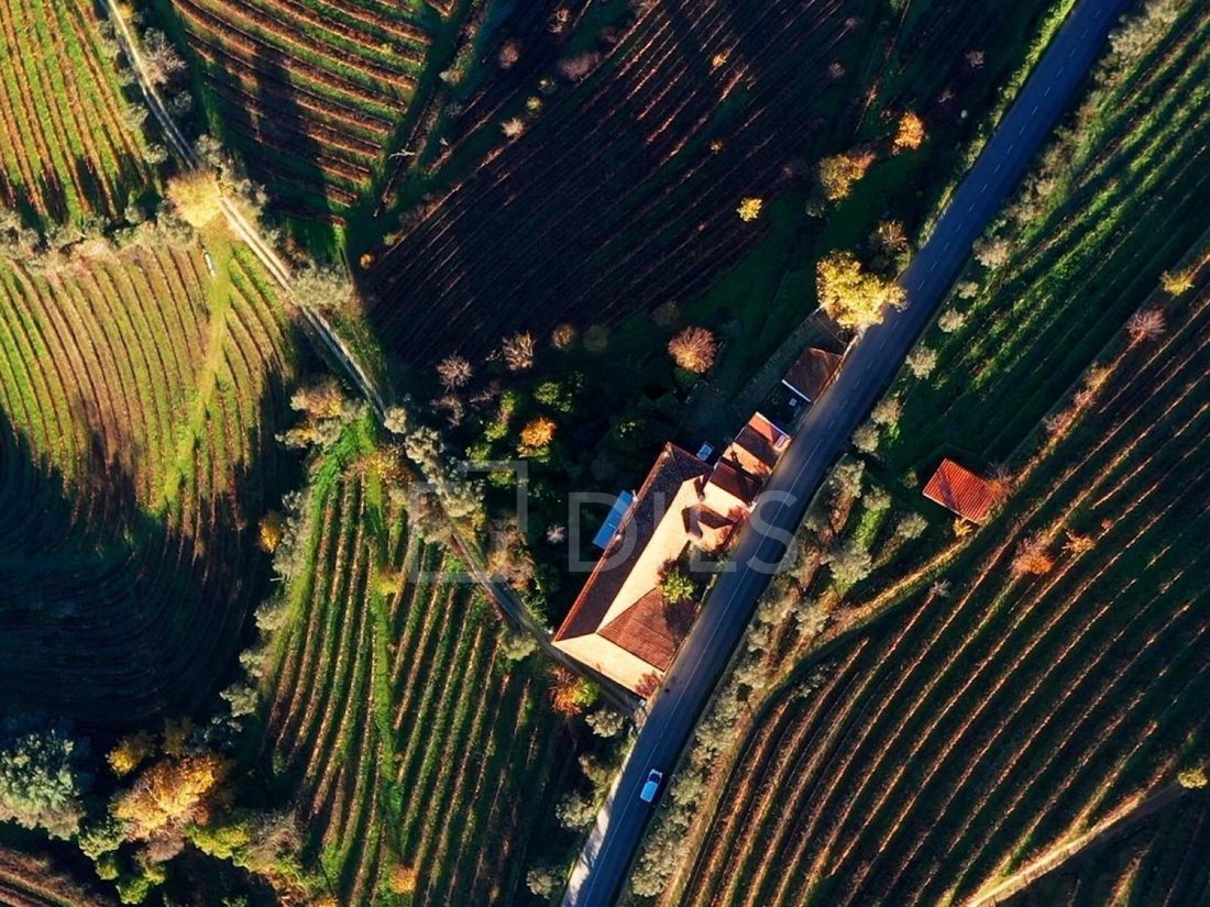 Finca in Cambres, Viseu District, Portugal 5 - 18002418