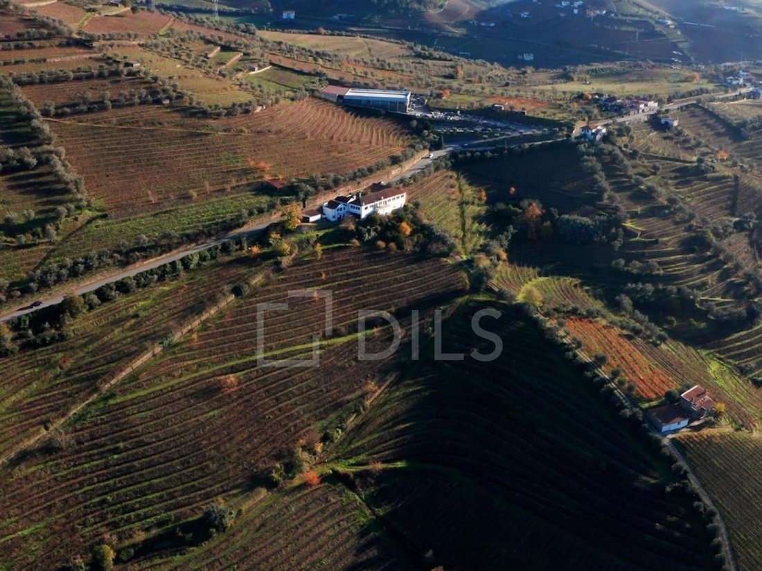 Finca in Cambres, Viseu District, Portugal 3 - 18002418
