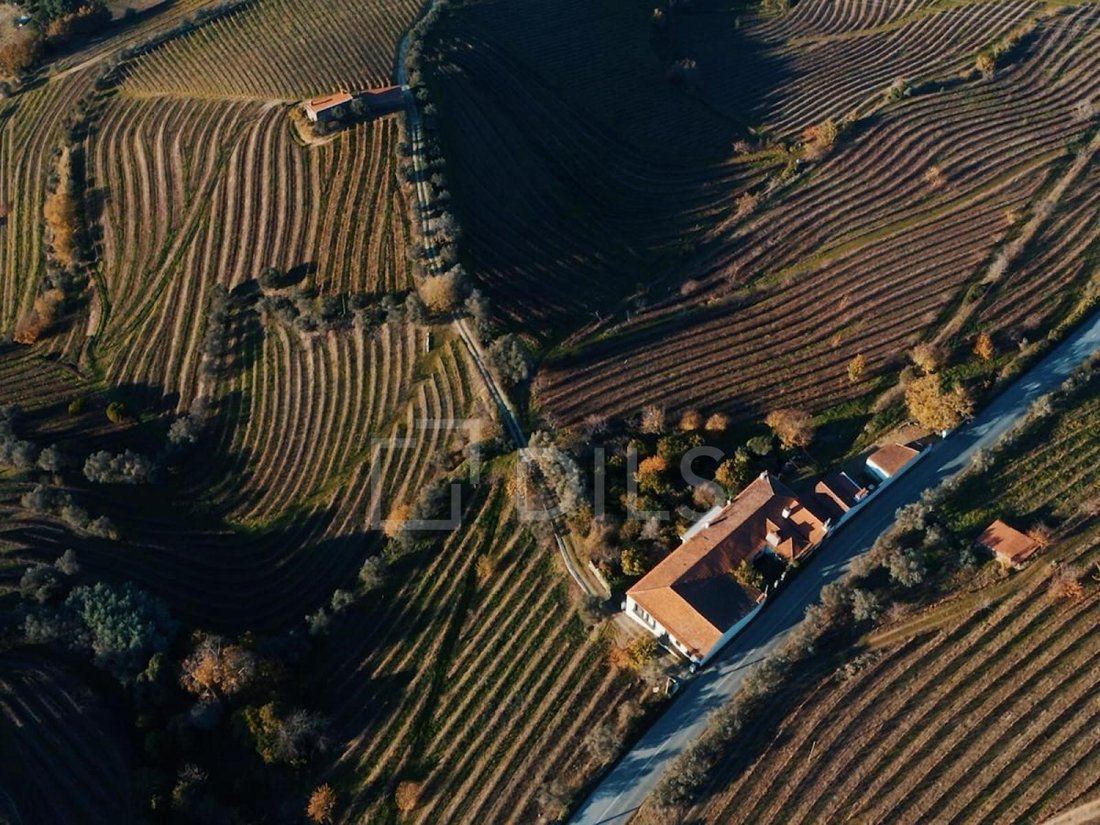 Finca in Cambres, Viseu District, Portugal 4 - 18002418