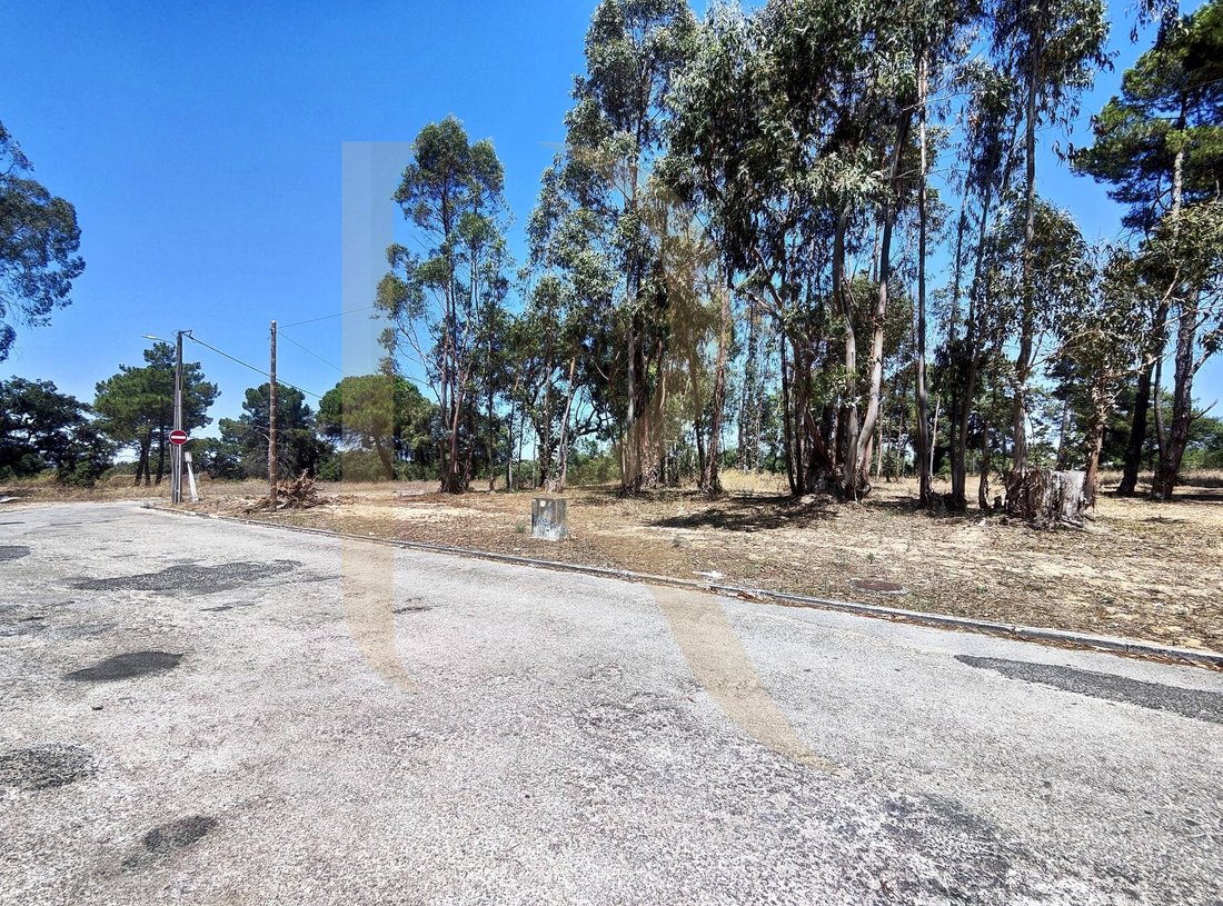Land in Azeitao (Sao Lourenco e Sao Simao), Setubal, Portugal 4 - 18002449