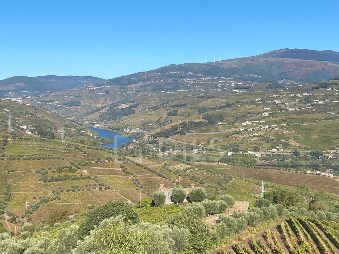 Finca in Cambres, Viseu District, Portugal 1 - 18002418
