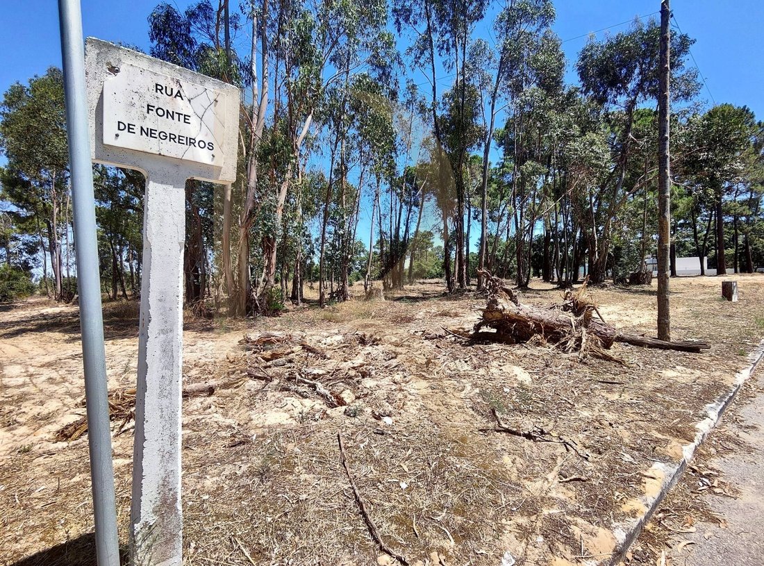 Land in Azeitao (Sao Lourenco e Sao Simao), Setubal, Portugal 3 - 18002449