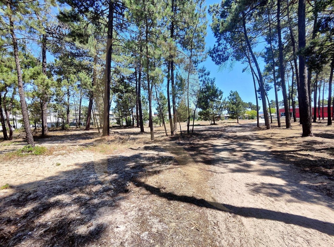 Land in Azeitao (Sao Lourenco e Sao Simao), Setubal, Portugal 5 - 18002449